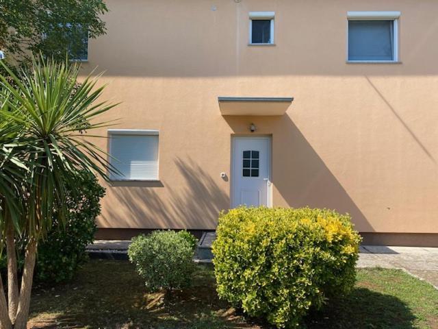 Katja Apartman *